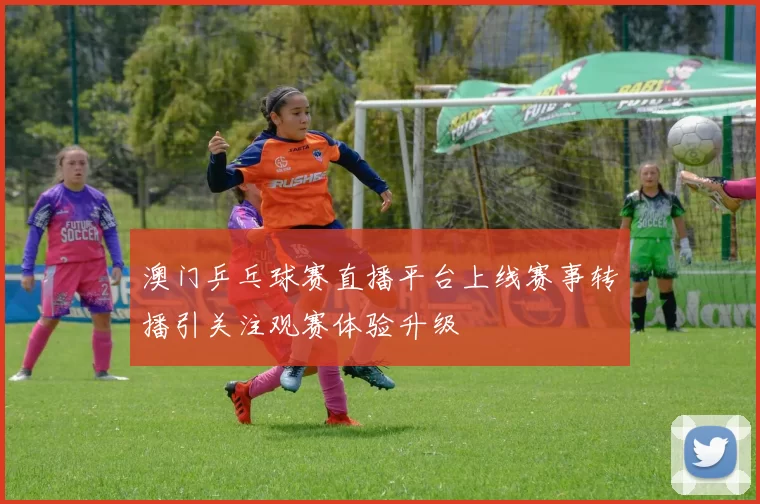 澳门乒乓球赛直播平台上线赛事转播引关注观赛体验升级