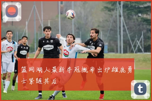 篮网湖人最新夺冠概率出炉雄鹿勇士紧随其后