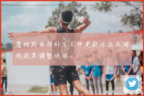 詹姆斯面部补丁文件更新方法及游戏效果调整说明